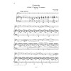 Concerto B minor